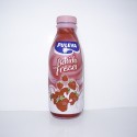 BATIDO FRESA 750ML 6UD